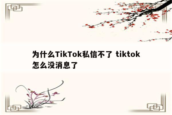 为什么TikTok私信不了 tiktok怎么没消息了