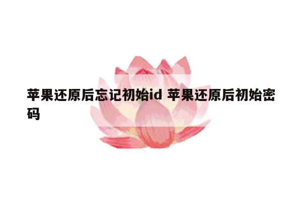 苹果还原后忘记初始id 苹果还原后初始密码