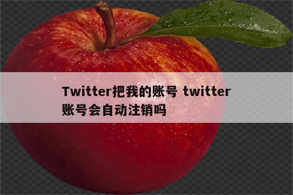 Twitter把我的账号 twitter账号会自动注销吗