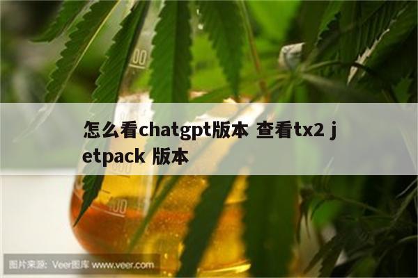 怎么看chatgpt版本 查看tx2 jetpack 版本