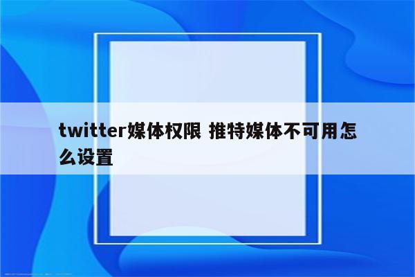 twitter媒体权限 推特媒体不可用怎么设置