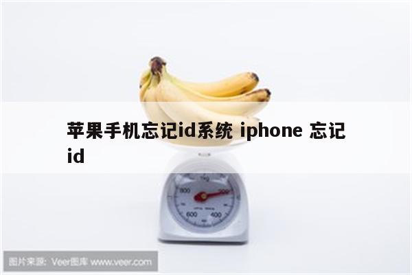 苹果手机忘记id系统 iphone 忘记id