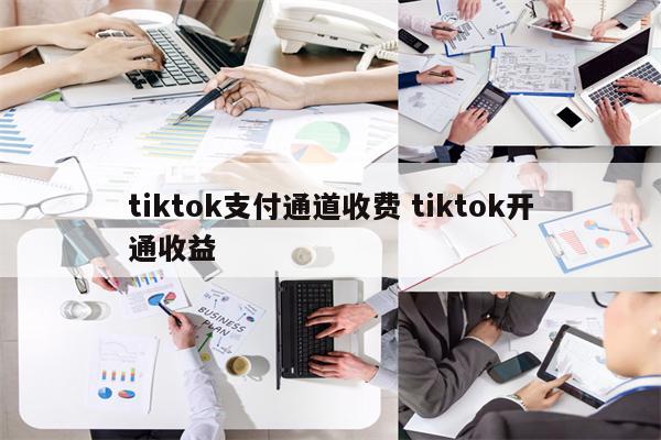 tiktok支付通道收费 tiktok开通收益