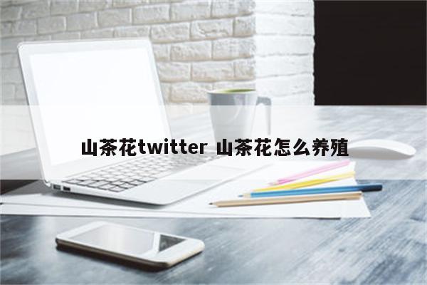 山茶花twitter 山茶花怎么养殖