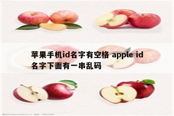 苹果手机id名字有空格 apple id名字下面有一串乱码