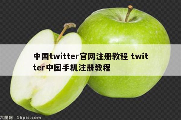 中国twitter官网注册教程 twitter中国手机注册教程