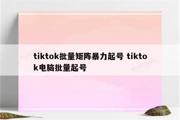 tiktok批量矩阵暴力起号 tiktok电脑批量起号