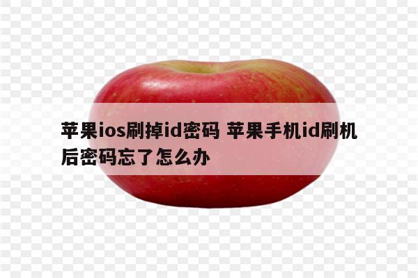 苹果ios刷掉id密码 苹果手机id刷机后密码忘了怎么办