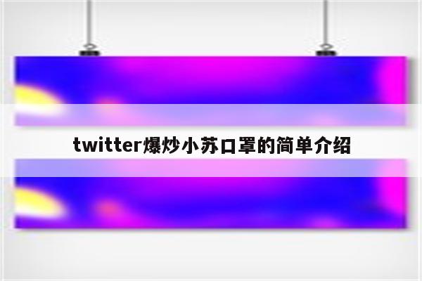 twitter爆炒小苏口罩的简单介绍