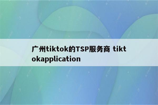 广州tiktok的TSP服务商 tiktokapplication