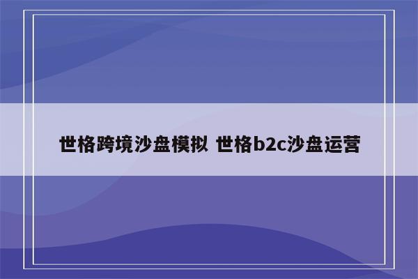 世格跨境沙盘模拟 世格b2c沙盘运营