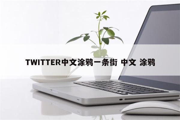 TWITTER中文涂鸦一条街 中文 涂鸦