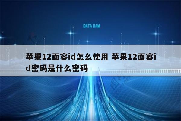 苹果12面容id怎么使用 苹果12面容id密码是什么密码