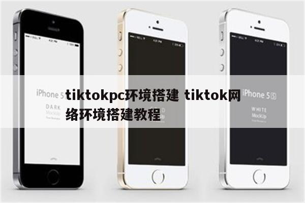 tiktokpc环境搭建 tiktok网络环境搭建教程