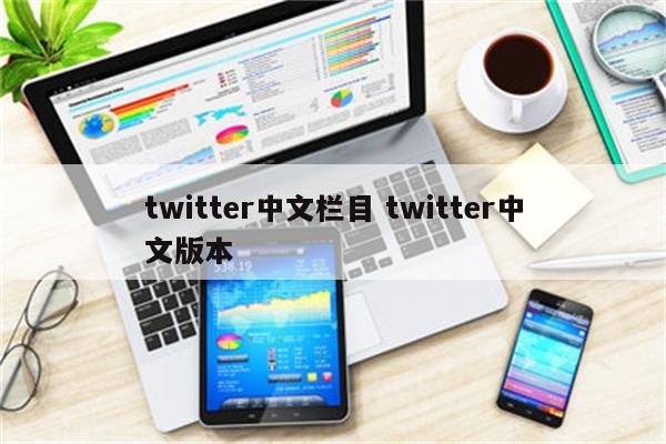 twitter中文栏目 twitter中文版本