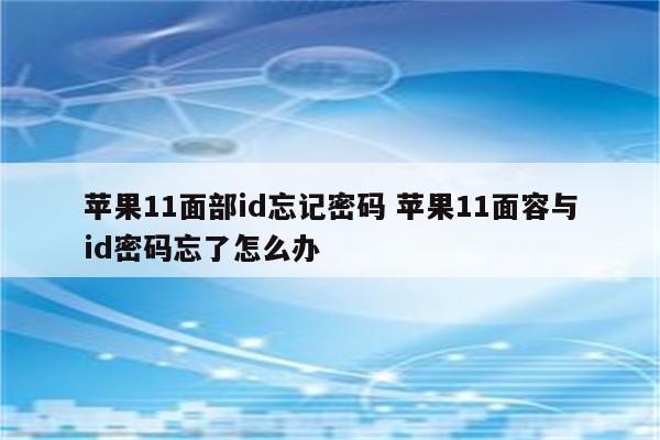 苹果11面部id忘记密码 苹果11面容与id密码忘了怎么办