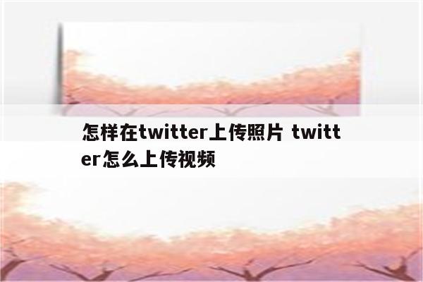 怎样在twitter上传照片 twitter怎么上传视频