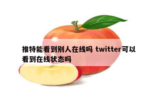 推特能看到别人在线吗 twitter可以看到在线状态吗