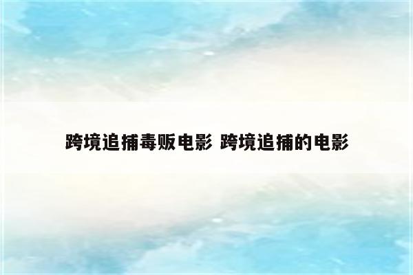 跨境追捕毒贩电影 跨境追捕的电影