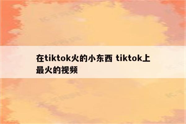 在tiktok火的小东西 tiktok上最火的视频