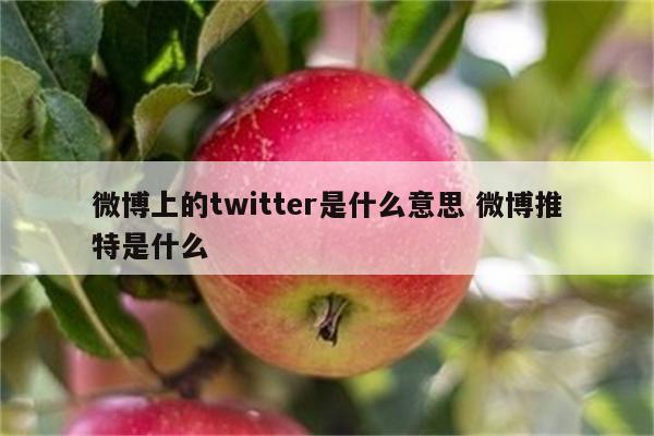 微博上的twitter是什么意思 微博推特是什么