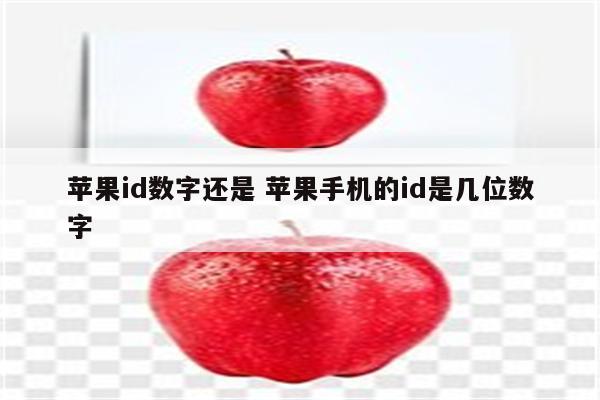 苹果id数字还是 苹果手机的id是几位数字