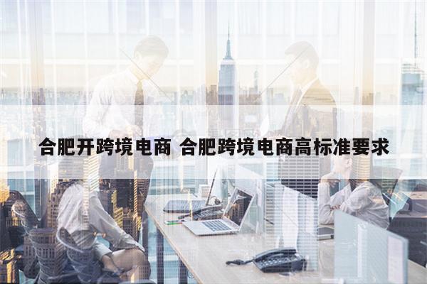 合肥开跨境电商 合肥跨境电商高标准要求