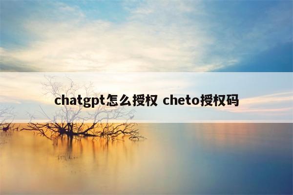 chatgpt怎么授权 cheto授权码