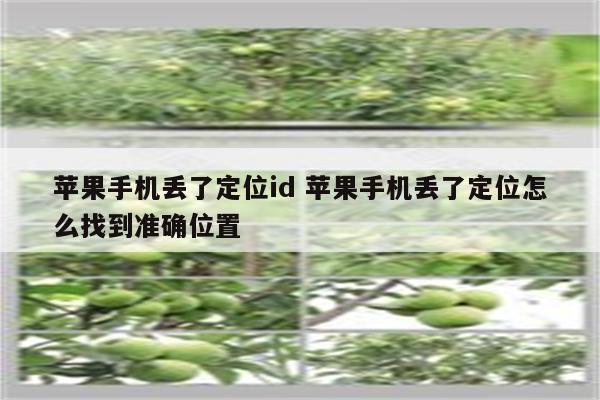 苹果手机丢了定位id 苹果手机丢了定位怎么找到准确位置