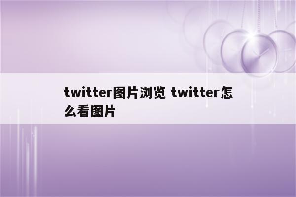 twitter图片浏览 twitter怎么看图片