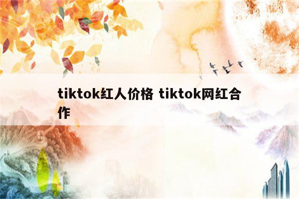 tiktok红人价格 tiktok网红合作