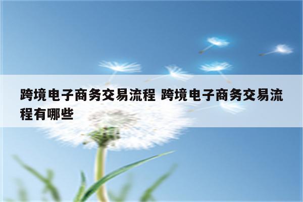 跨境电子商务交易流程 跨境电子商务交易流程有哪些