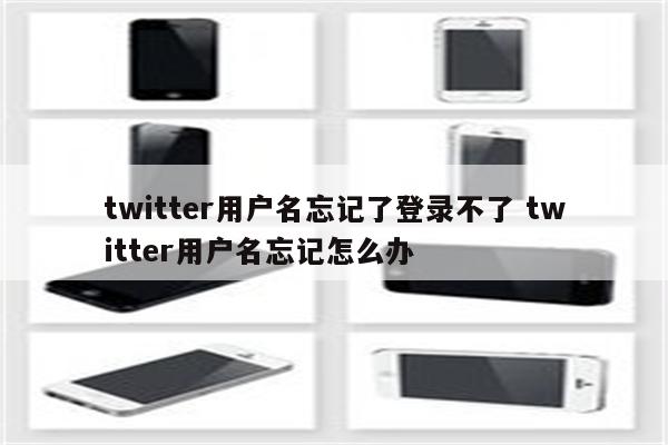twitter用户名忘记了登录不了 twitter用户名忘记怎么办