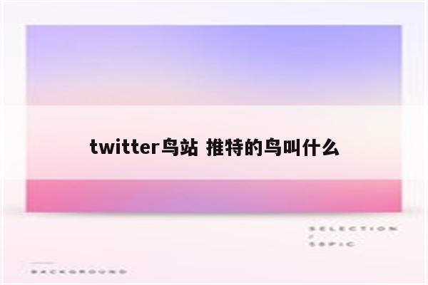 twitter鸟站 推特的鸟叫什么