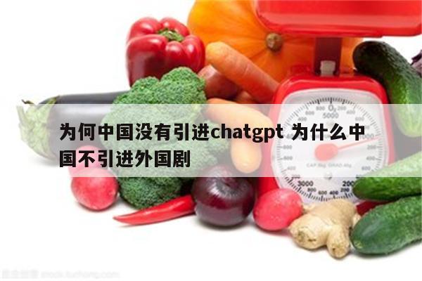 为何中国没有引进chatgpt 为什么中国不引进外国剧