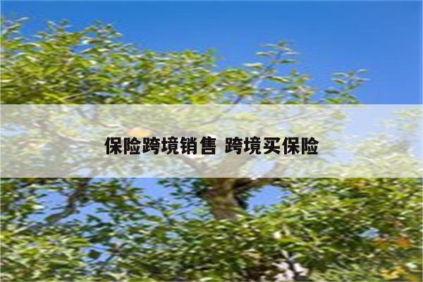 保险跨境销售 跨境买保险