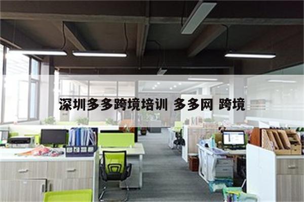 深圳多多跨境培训 多多网 跨境