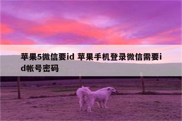 苹果5微信要id 苹果手机登录微信需要id帐号密码