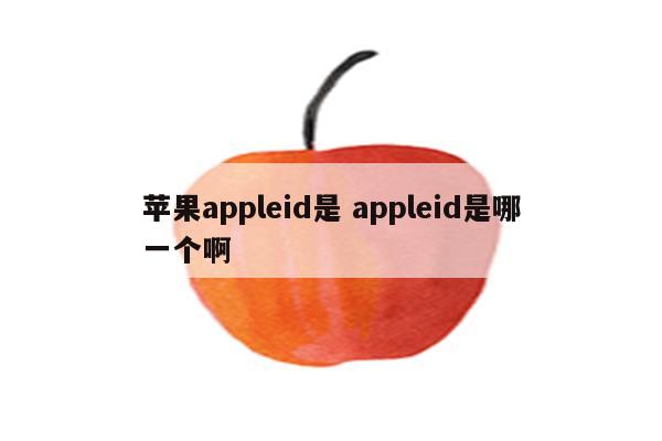 苹果appleid是 appleid是哪一个啊