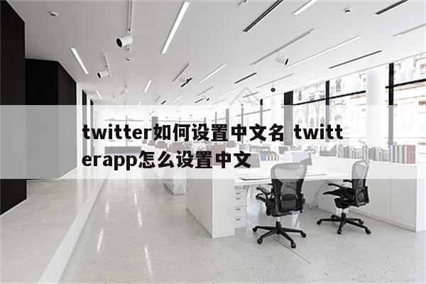 twitter如何设置中文名 twitterapp怎么设置中文