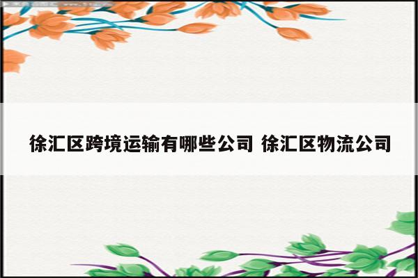 徐汇区跨境运输有哪些公司 徐汇区物流公司
