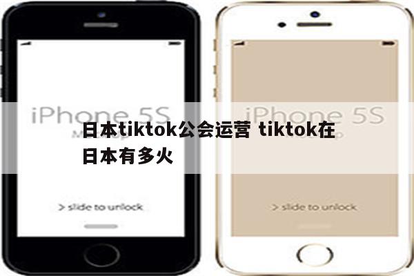 日本tiktok公会运营 tiktok在日本有多火