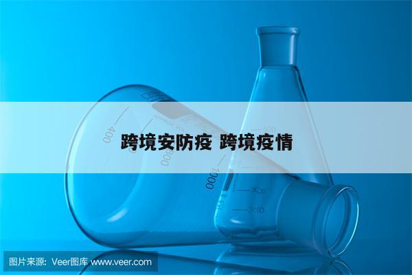 跨境安防疫 跨境疫情