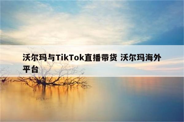 沃尔玛与TikTok直播带货 沃尔玛海外平台