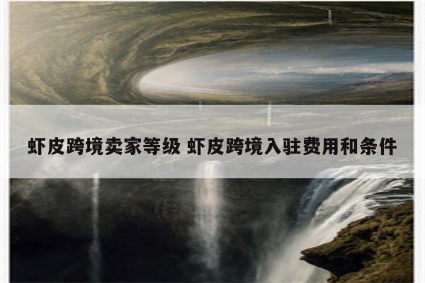虾皮跨境卖家等级 虾皮跨境入驻费用和条件