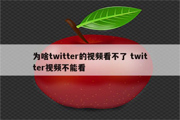 为啥twitter的视频看不了 twitter视频不能看