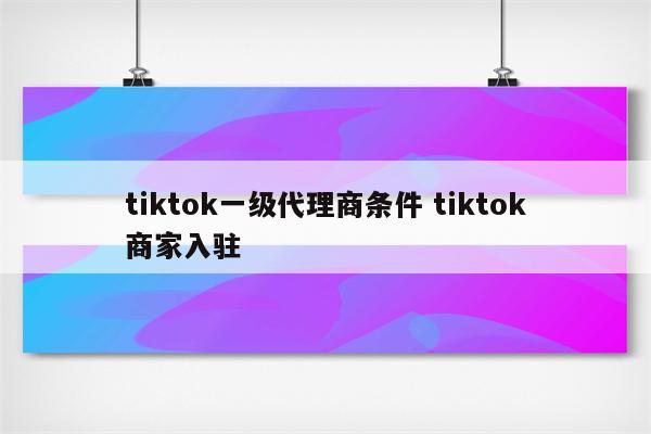 tiktok一级代理商条件 tiktok商家入驻