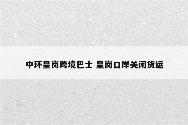 中环皇岗跨境巴士 皇岗口岸关闭货运