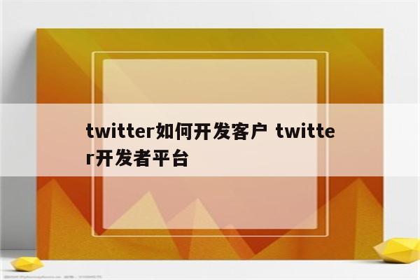 twitter如何开发客户 twitter开发者平台