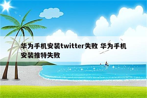 华为手机安装twitter失败 华为手机安装推特失败
